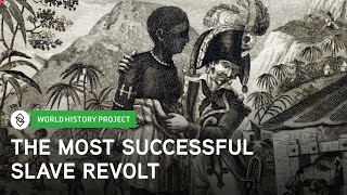 The Haitian Revolution and Its Causes  World History Project [upl. by Ketti]