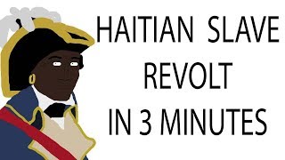 Haitian Slave Revolt  3 Minute History [upl. by Aneram]