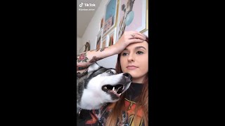 SIBERIAN HUSKIES BEING DRAMATIC FOR 8 MINUTES AND 53 SECONDS STRAIGHT [upl. by Hillery]