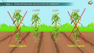 An Introduction To Plant Breeding [upl. by Vez]