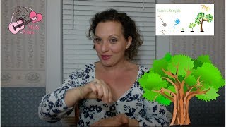 Childrens Rhyme Planting A Tree  Fingerplay and Chant for Preschool Kids amp Toddlers [upl. by Silevi218]