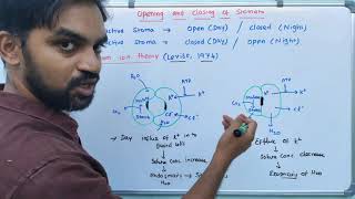 Structure of Stomata  Opening and closing of stomata [upl. by Nowyt407]