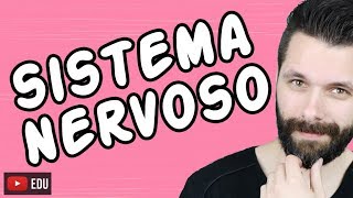 SISTEMA NERVOSO  FISIOLOGIA  Aula  Biologia com Samuel Cunha [upl. by Elbas874]