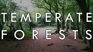 The Temperate Forest Biome  Biomes6 [upl. by Dust]