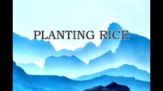 Planting Rice  Classic Nursery Rhymes [upl. by Eibreh]