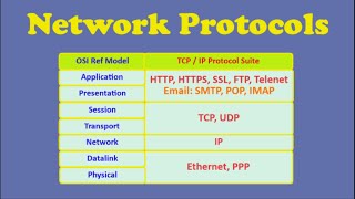 Network Protocols [upl. by Shanon613]