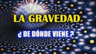 ¿Qué es la gravedad y cómo funciona Newton VS Einstein [upl. by Llehcam]