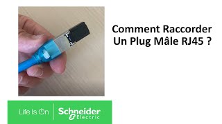 Comment raccorder un plug mâle RJ45   Schneider Electric [upl. by Aihsyak]