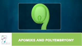 APOMIXIS AND POLYEMBRYONY [upl. by Hibbitts]