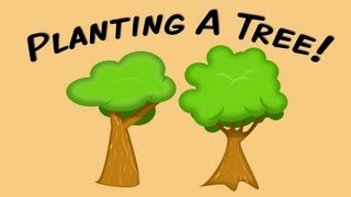 Planting A Tree fingerplay song for children [upl. by Christel]