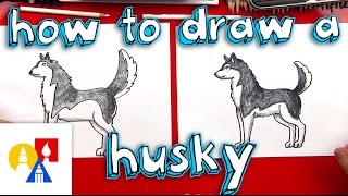 How To Draw A Husky [upl. by Lokim]