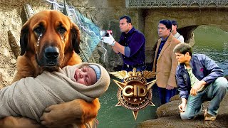 जब Investigation Team के सामने Insaani Bache को पालने वाला आया जंगली कुत्ता  Best Of CID 2025 [upl. by Dempster760]