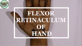 Surface Marking of Flexor Retinaculum of Hand [upl. by Freed]