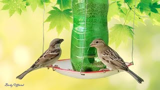 How To Make No Mess Bird Feeder At Home [upl. by Oicnedif]