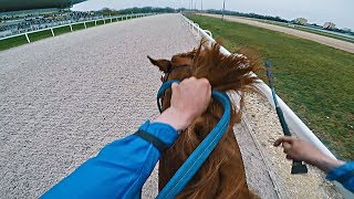 NEW RECORD 1 Place Graded 3 Race 1400 m 1257  Zwegat GER  Kincsem park Budapest  GoPro [upl. by Cirdahc]