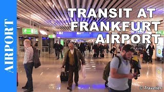 TRANSIT WALK AT FRANKFURT Airport FRA Terminal 1  Connection Flight Transfer Arriving amp Departing [upl. by Cartie]